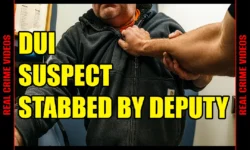 Cop STABS DUI Suspect to Death on Video