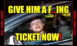 Woman SNAPS During Police Traffic Stop